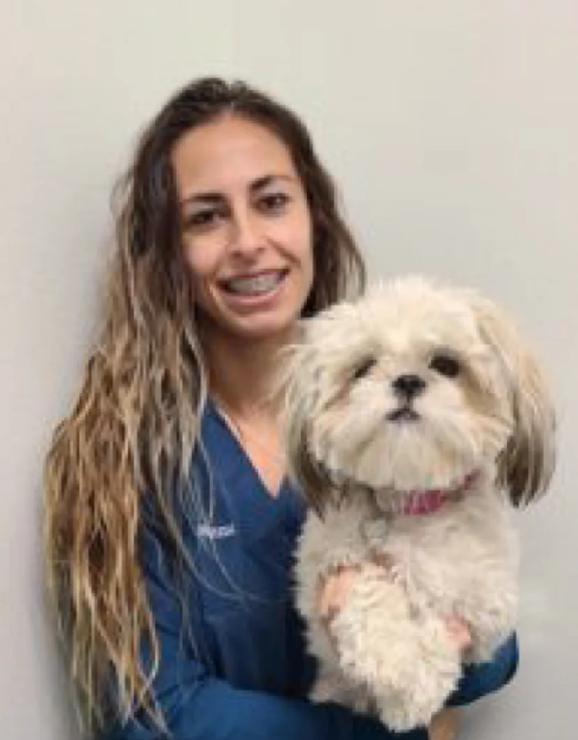 Vanessa at Channel Islands Veterinary Hospital / Las Posas Veterinary Medical Center